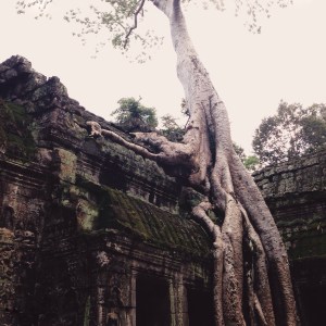 Angkor.JPG